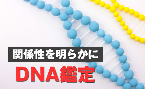 関係性を明らかにするにはDNA鑑定